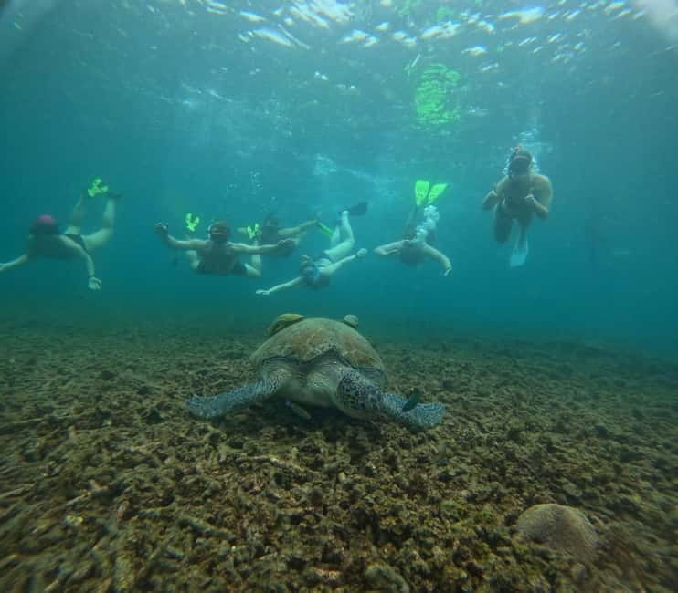 Snorkeling Tour with meals and BBQs - Cocktail - Sunset⭐⭐⭐⭐⭐ - Pickup in Ko Tao and a Seven-Hour Day at Sea