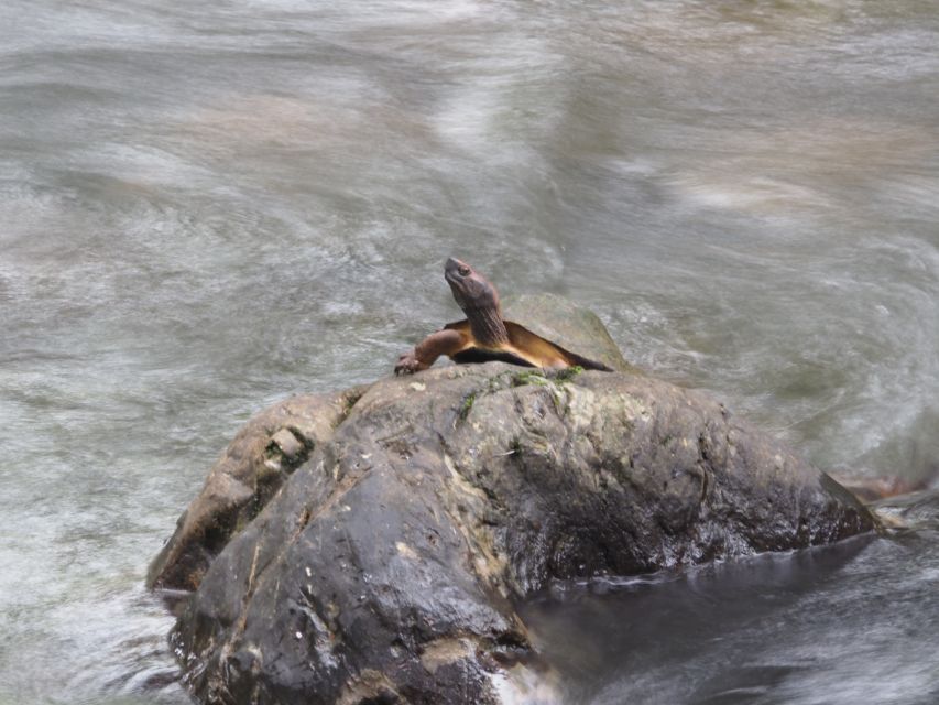 Sok River: Bamboo Raft Ride, Monkey Temple & View Point Tour - Guides who make the difference