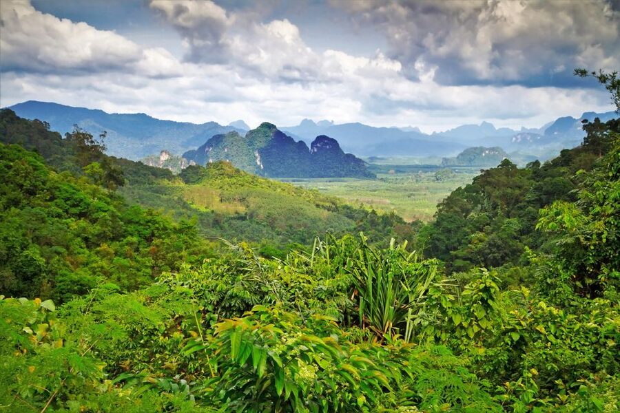 Sok River: Bamboo Raft Ride, Monkey Temple & View Point Tour - Is $61 a fair price?