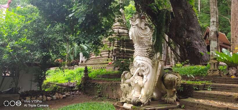 Spiritual Sunrise Wat Doi Suthep, Pha Lat, Alms & Meditation - What the former monk guide adds