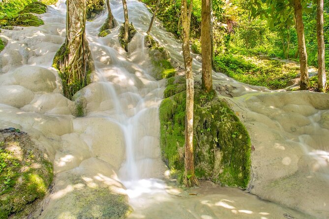 Sticky Waterfall Chiang Mai and Mae Ngat Boat Tour - What the $63.37 price really covers