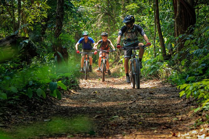 Sticky Waterfall Cycling Tour - The cave stop and the quieter parts of the route