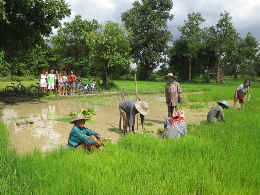 Sukhothai: Half-Day Countryside Bike Tour - Along the canal and into the wood workshop