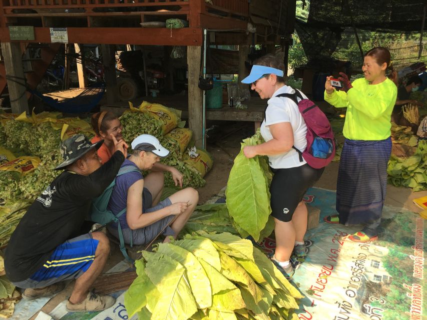 Sukhothai: Half-Day Countryside Bike Tour - Ten kilometers through the rice paddies