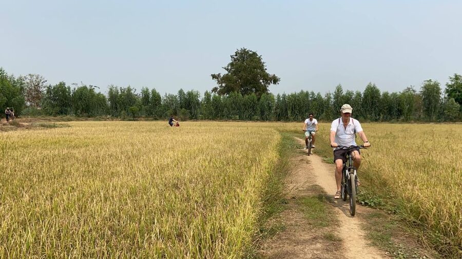 Sukhothai: Half-Day Countryside Bike Tour - Traditional rice whiskey and a taste of local production