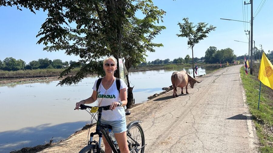 Sukhothai: Half-Day Countryside Bike Tour - Starting from your Sukhothai hotel