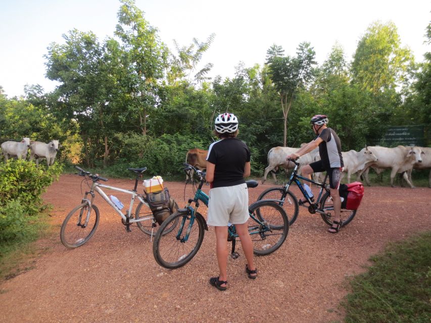 Sukhothai: Historical Park & Countryside Cycling Tour - Morning Pickup and the Ride to Ban Khuai