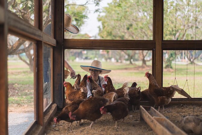 Sunset Thai Cooking with Grandma - Farm & Evening Feast - Dietary Requests and Family Considerations