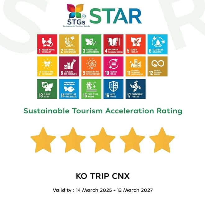 Taste of Chiang Mai: Michelin Guide & Street Food Tour - Why this Chiang Mai food tour works