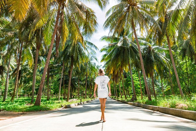 Thai Intro - Phi Phi: boat days and famous viewpoints