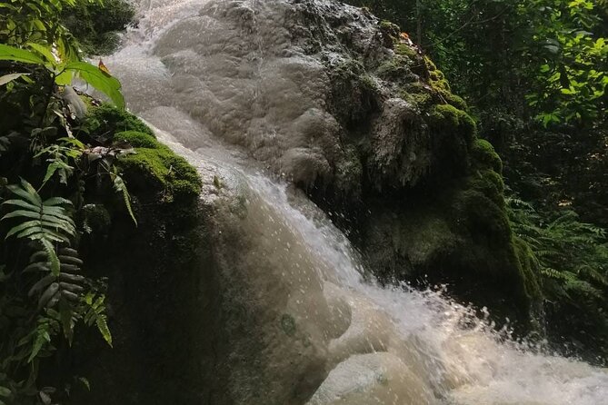 The Best Full Day Tour: Doi Suthep, Wat Phalat, Sticky Waterfall - Climbing Bua Thong Sticky Waterfall
