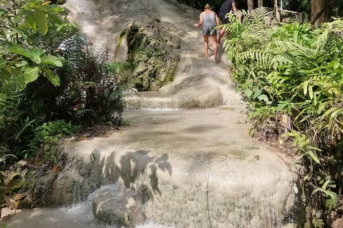 The Best Full Day Tour: Doi Suthep, Wat Phalat, Sticky Waterfall - Guides who add more than directions