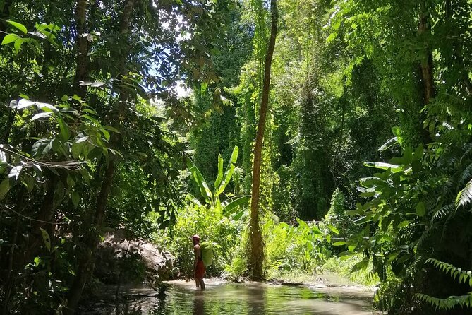 The Best Full Day Tour: Doi Suthep, Wat Phalat, Sticky Waterfall - What to pack and how to prepare