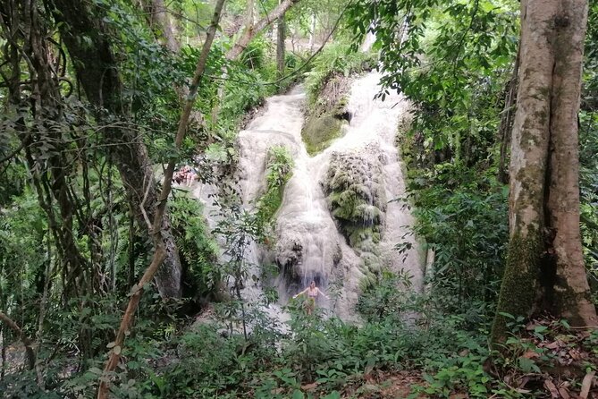 The Best Full Day Tour: Doi Suthep, Wat Phalat, Sticky Waterfall - Who should book this experience?