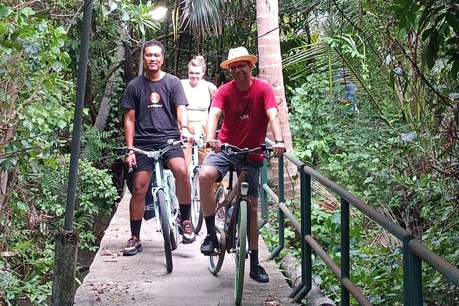 The Original Bicycle Tour in the Green Jungle of Bangkok - Key points to know before you book
