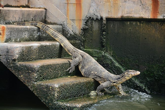 Timeless Thonburi Canal and Food Tour - Riding the long-tail boat to Artist House