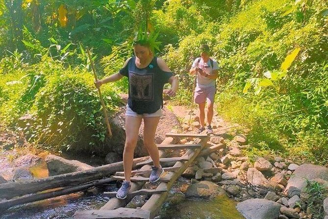 Top Pick - Full or Half Day @Elephant in Wild Sanctuary ChiangMai - Key points to know before booking