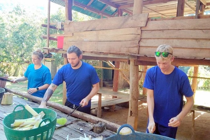 Top Pick - Full or Half Day @Elephant in Wild Sanctuary ChiangMai - Feeding, medicine, mud, and river bathing
