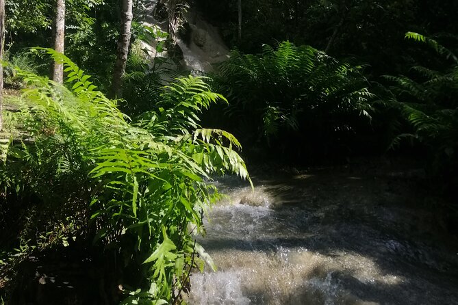 Visit Dantewada(Angel Land), Blue Temple, and Sticky Waterfall - Why this three-stop day trip works
