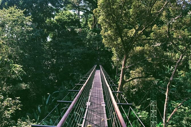 World B+ (Zipline 18 Platforms + Roller + Sky Walk with World Set Menu ) - The 800-meter jungle roller