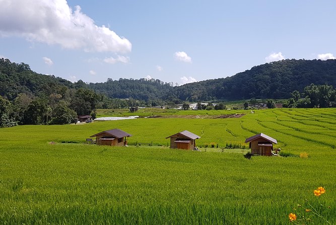 Wow! Doi Inthanon National Park Adventure, Lunch & Entry Included - The twin pagodas are the visual high point