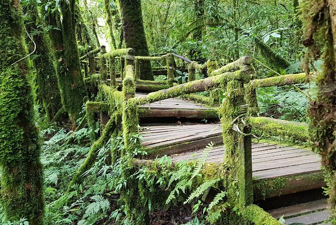 Wow! Doi Inthanon National Park Adventure, Lunch & Entry Included - Wachirathan Falls delivers the first big stop